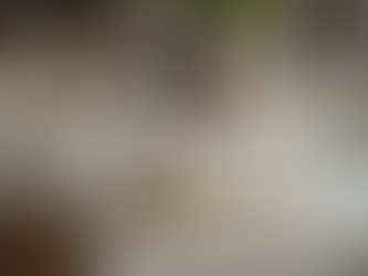 Bringe mit diesen Upcycling-Ideen Frühling in dein Zuhause und erwecke alte Schätze zu neuem Leben