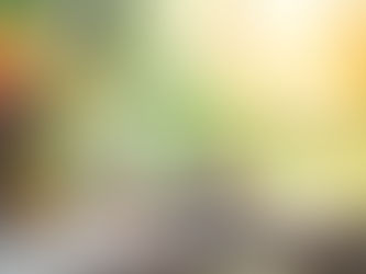 Frühling und Ostern: So bringst du frischen Schwung in dein Zuhause