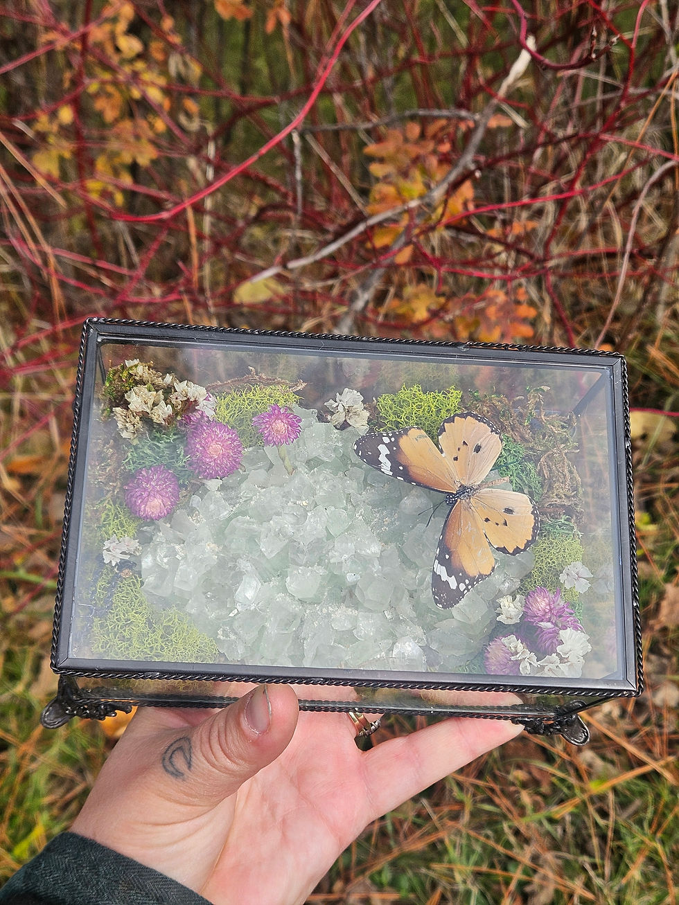 Thumbnail: Glass Jewelry Box with Butterfly