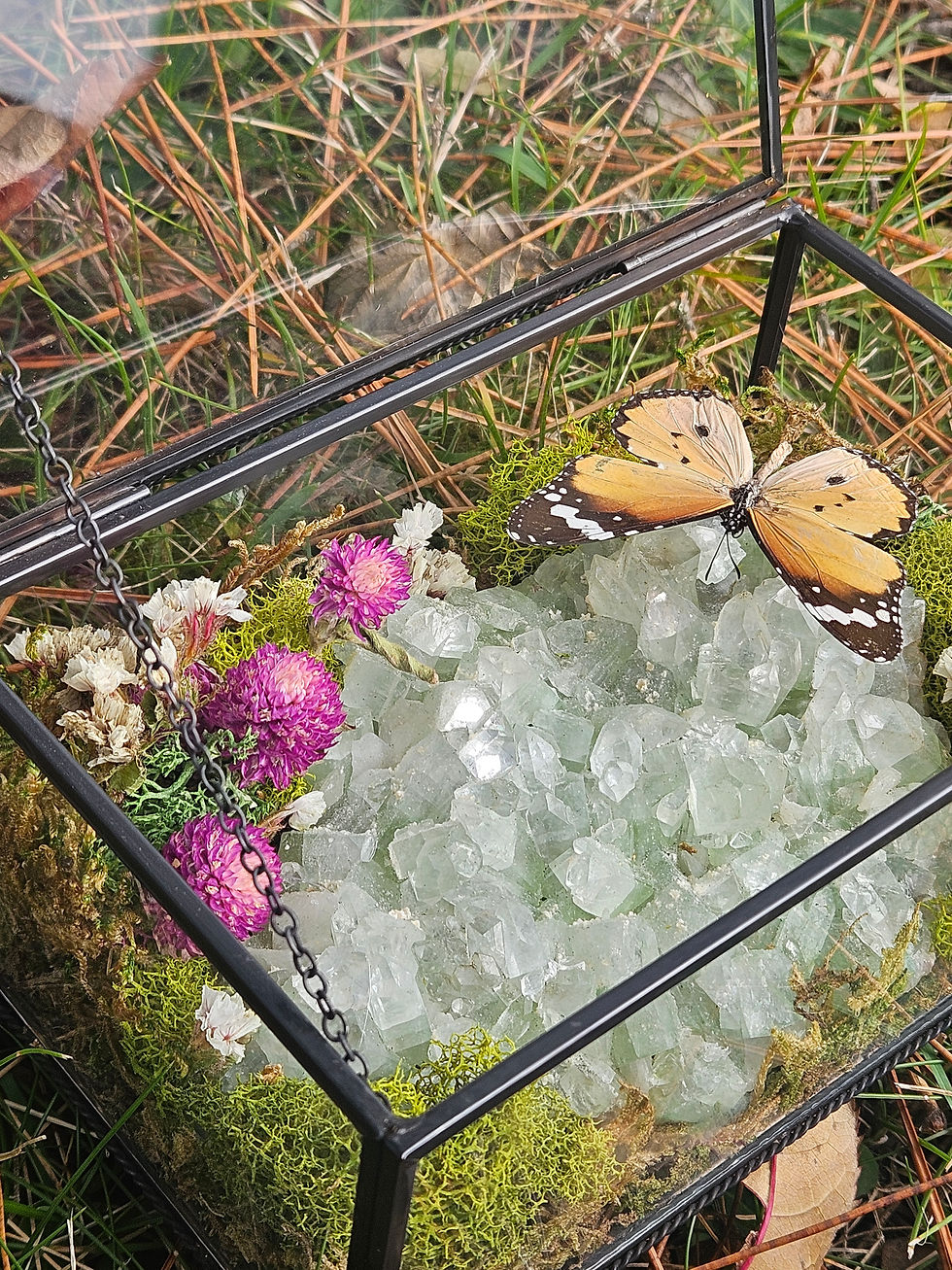 Thumbnail: Glass Jewelry Box with Butterfly