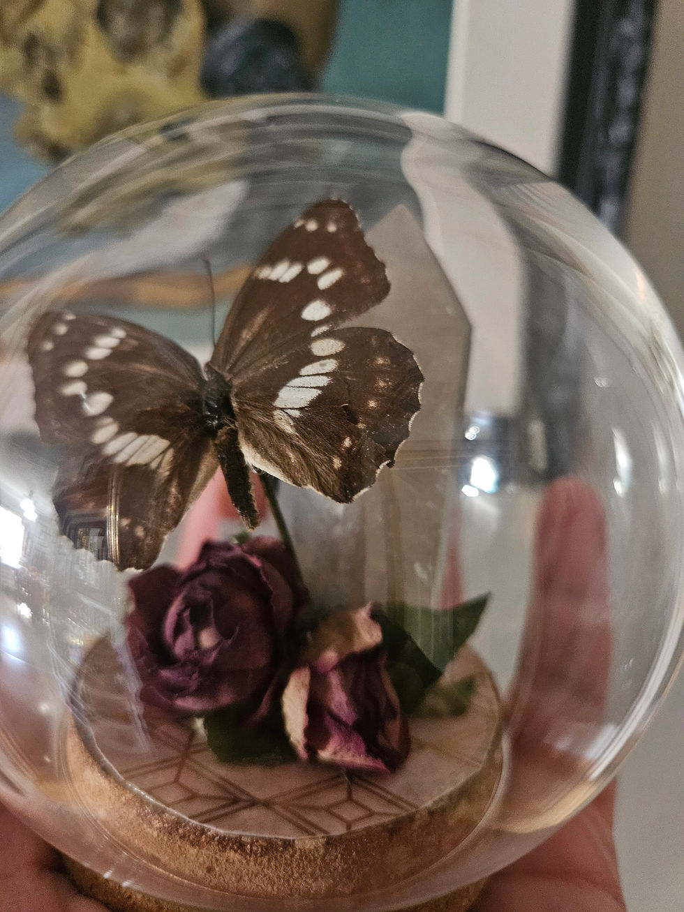 Thumbnail: Butterfly & Crystal Tower Mini Globe Terrarium
