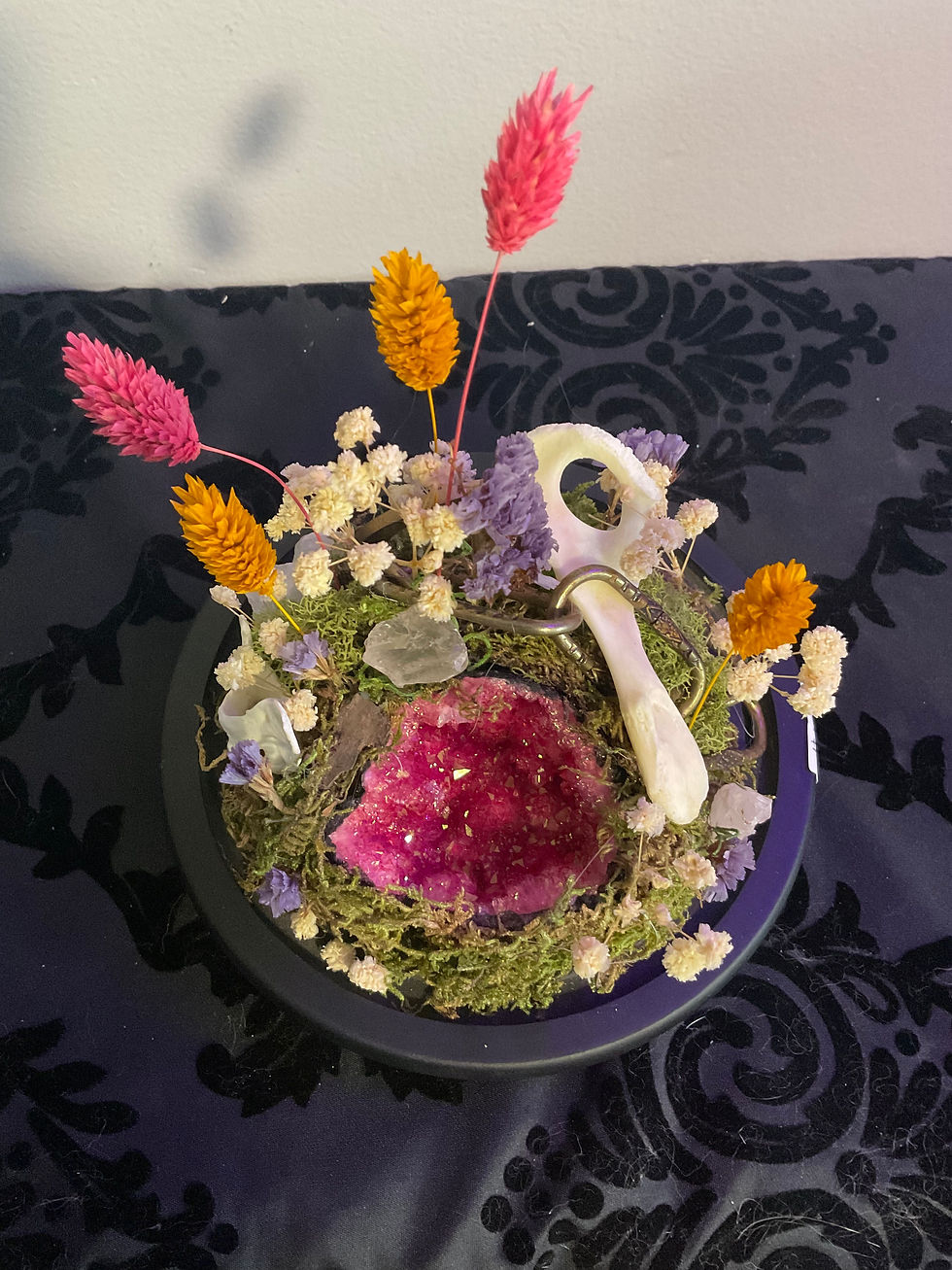 Thumbnail: Lucky Bone Globe Terrarium