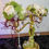 Thumbnail: Mink Candelabra