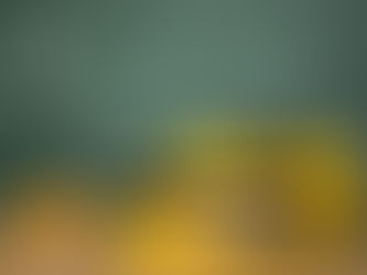 Formar professores: como reverter a queda nas licenciaturas e valorizar a docência no Brasil