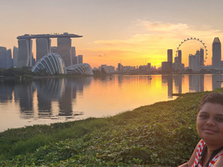 Person sitting on grass while the sun is setting in the background across the river amidst a city landscape