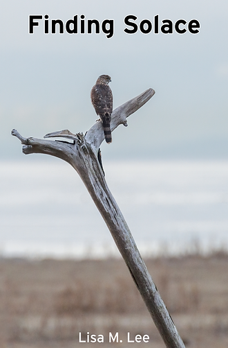 Finding Solace: A Compassionate Guide to Growing Through Grief and Remembering Wholeness by Lisa M. Lee
