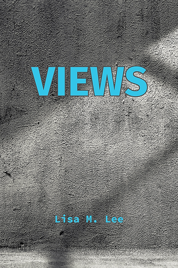 Views, A Novel by Lisa M. Lee