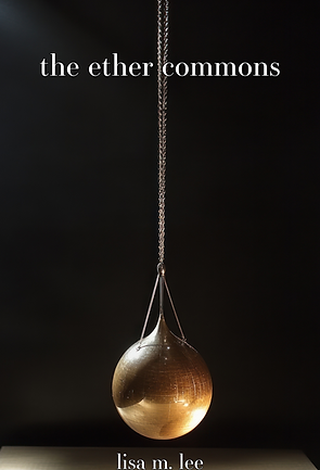 The Ether Commons, A Novel by Lisa M. Lee