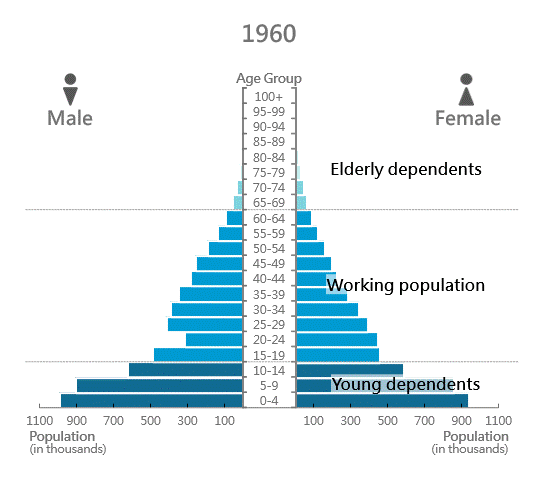 population+pyramid+and+support+ratio-2022+version.gif