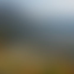 Happy holiday season