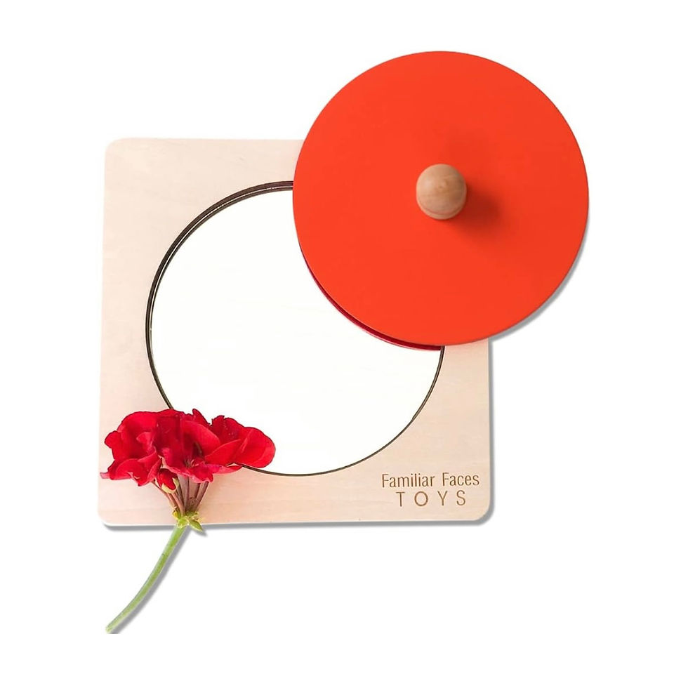 A familiar faces mirror puzzle