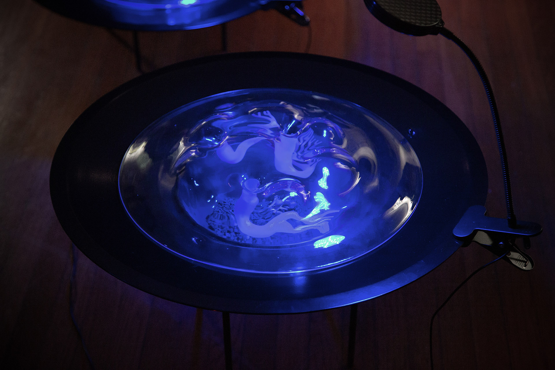 glass chamber glowing under blue light