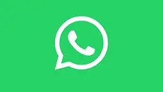 WhatsApp_Logo_2-1.webp
