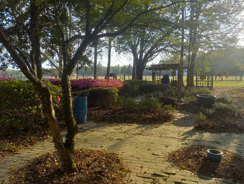 landscape2.jpg