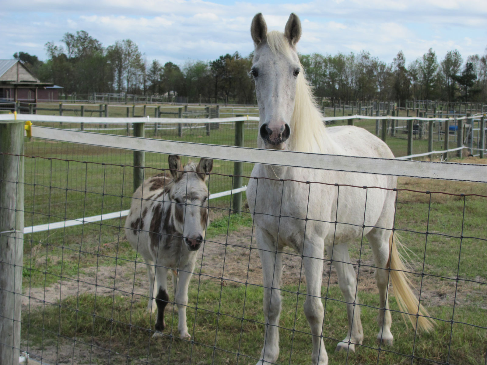 Twiddle Dee Farm photo 6