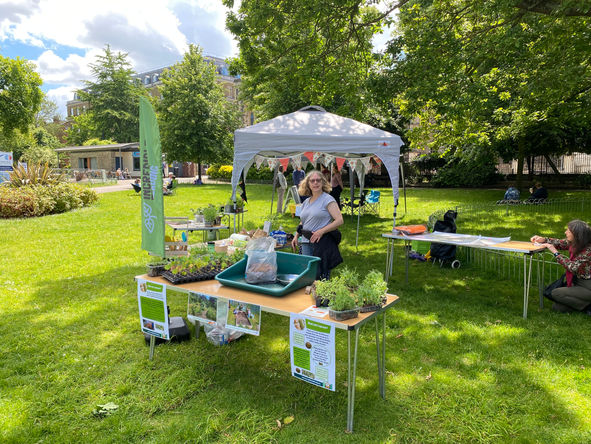 Incredible Edible Reading stand  at the Big Lunch 2024