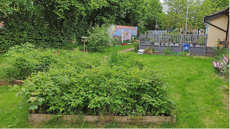 Garden setting with plants and structures