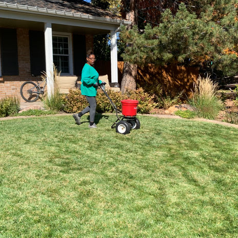 Home Lawn Care