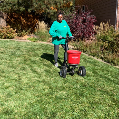 Home Lawn Care