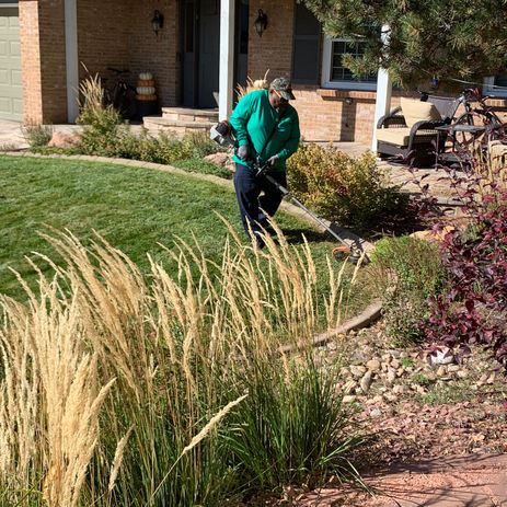 Home Lawn Care