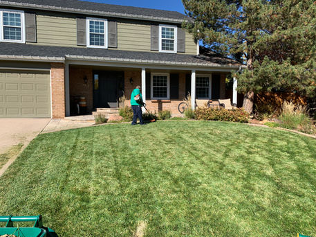 Home Lawn Care