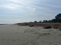 KTM RENTAL JAPAN RACE