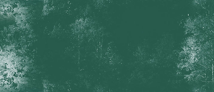 rei-dark green web background-loopable.jpg