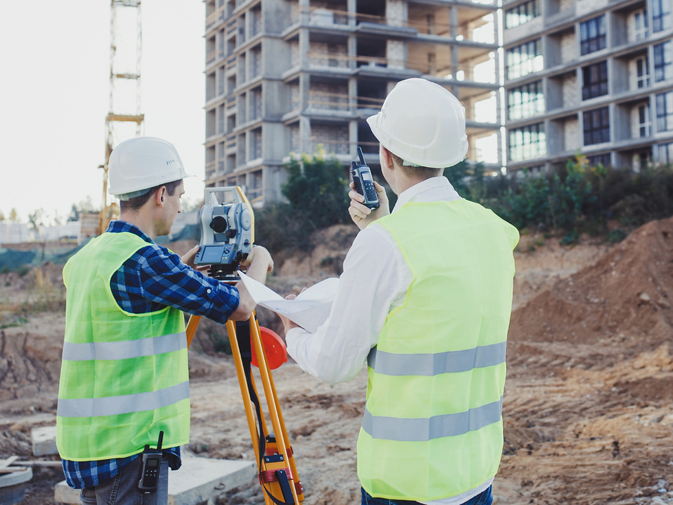 What are ALTA surveys and why are they important?