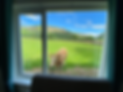 IMG_6438_edited.png