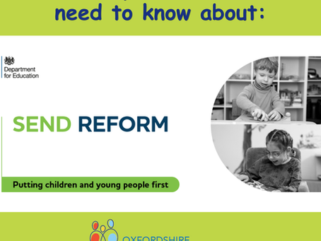 Offical SEND reform image from Government with added green background