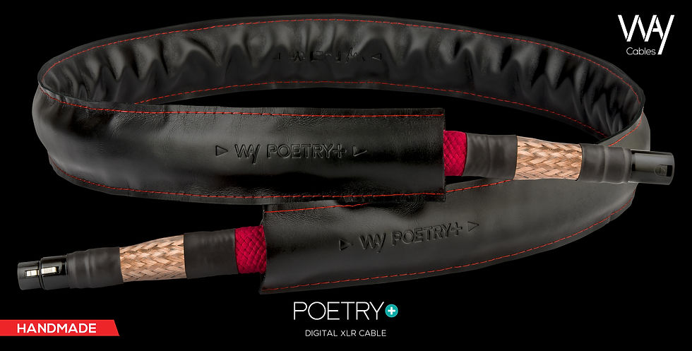 Poetry+ Coaxial and AES-EBU