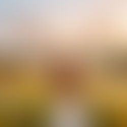 Eine Frau steht mitten in einer blühenden Blumenwiese und schaut in die Ferne, Rückenansicht mit blonden Haaren, sie streckt ihre Hände in die Luft und atmet frei: Blogartikel Atemraum finden und Alltagslasten loslassen - Wortfeger Atelier