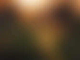 Ein zartes Farnblatt, das sich ausrollt. Afterglow-Down bei Hochsensibilität | Wenn schöne Momente müde mache