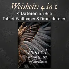 Flügel eines grossen Vogels, Detailaufnahme, und lateinischem Spruch für innere Freiheit