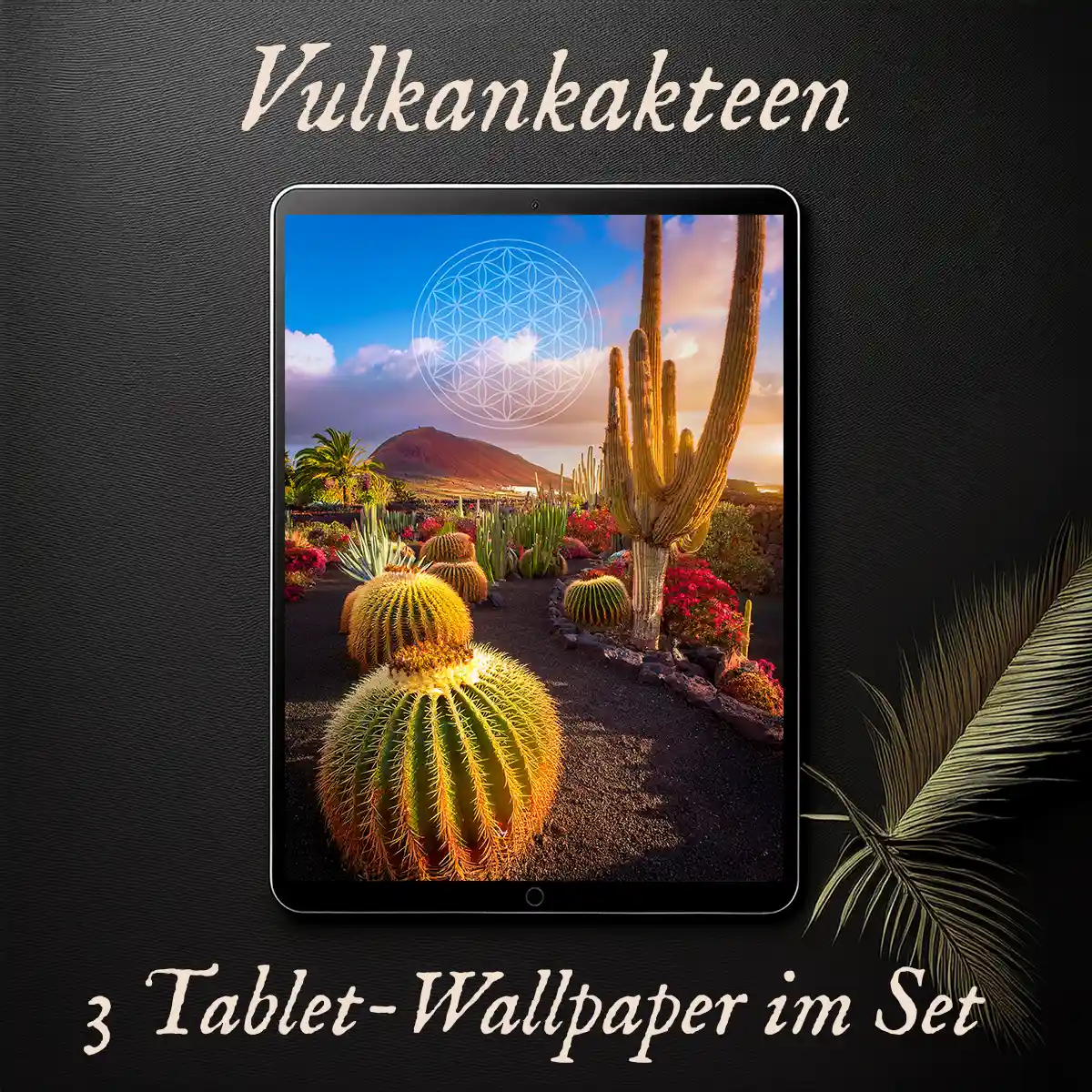 Vulkankakteen | 3 Tablet-Wallpaper Set | Symbole universeller Geometrie