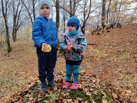 Traseul tematic "Parc natural Codrii Iasilor" in culorile toamnei