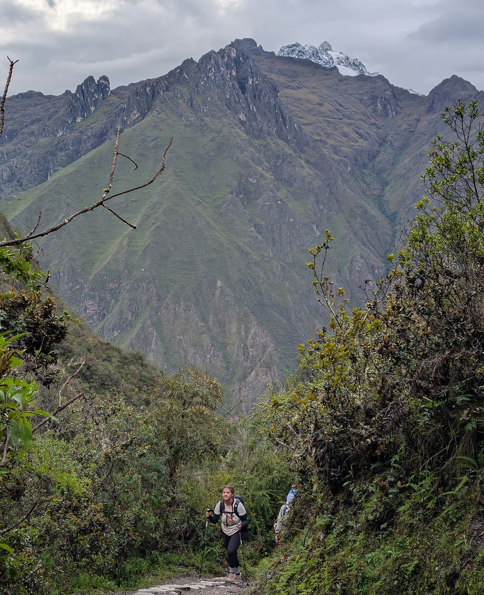Hiker with poles on a lush, mountain trail; towering green peaks in the background, cloudy sky above. Scene conveys adventure.