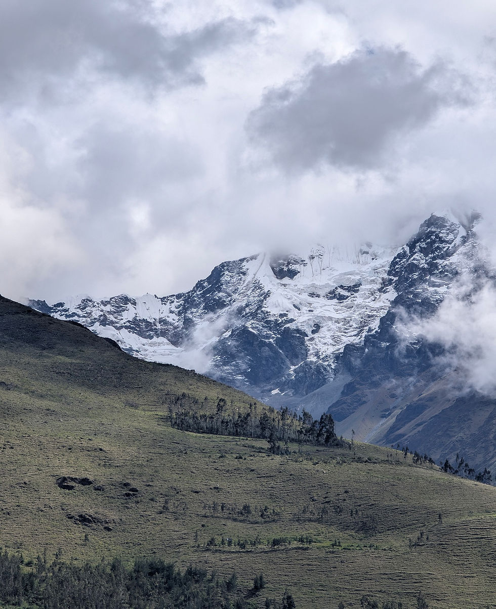 Snow-capped mountain peak shrouded in clouds. Foreground features a green, rolling hill with sparse trees. Overcast and serene atmosphere.