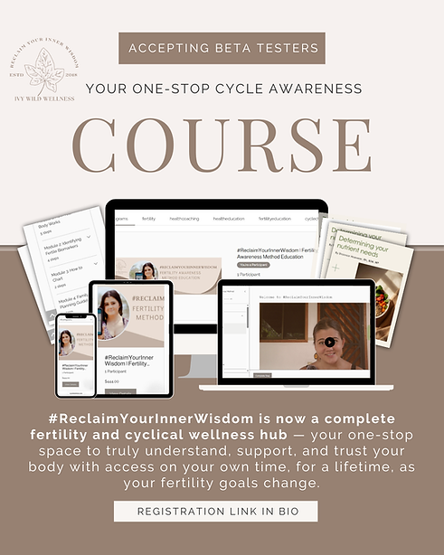Copy of fertility course intro description (Instagram Post (45)).png