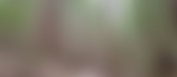 Do the gruelling Grouse Grind