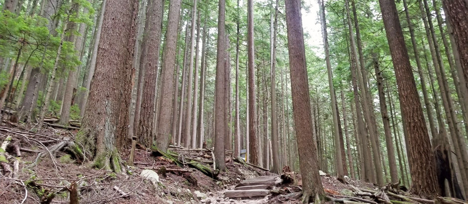Do the gruelling Grouse Grind