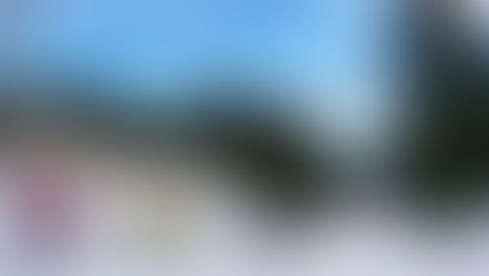 Learn to ski & snowboard