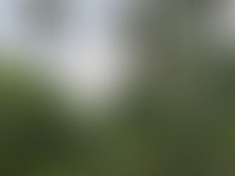 « Vous avez dit humanitaire ? »