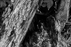 20140516-DSC_0178