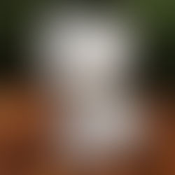 Ceramic bisque sitting fox figure