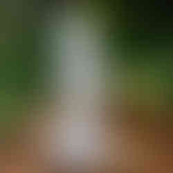 Ceramic bisque garden gnome figure