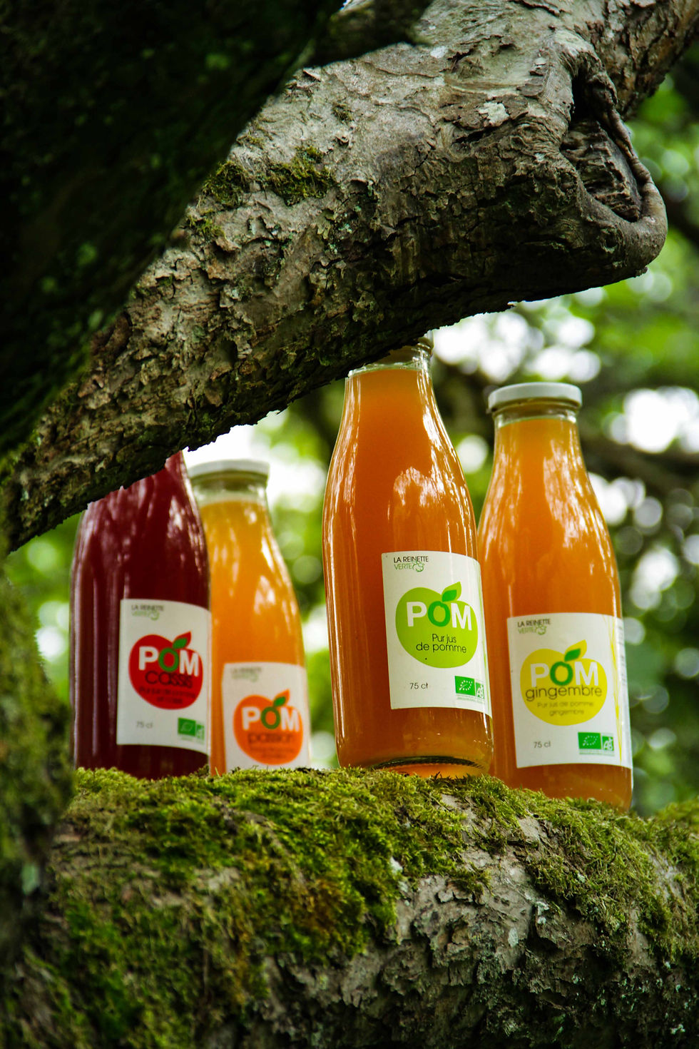 Les purs jus de la Reinette