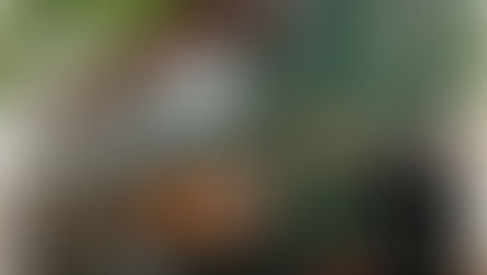 幾時香港會開Glenfiddich 巴士?