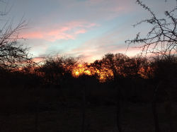 ATARDECER AL OESTE