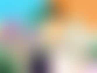 Une personne divisée entre la Corée du Sud et la Corée du Nord